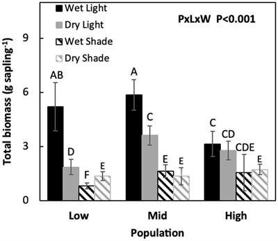 Co-limitation of resources reveals adaptations of a tropical tree to heterogeneous environments along an elevational cline